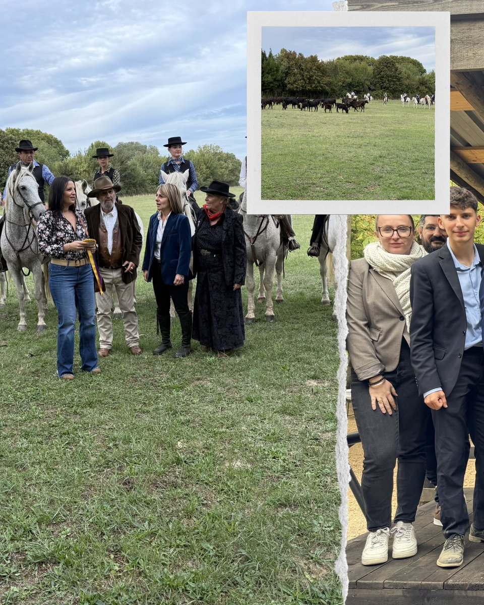 JeunesRepsGard's tweet photo. 📍Récap de la rentrée des
Républicains du Gard 🇫🇷

En présence de notre président de fédération @RichardTiberino et de notre secrétaire départemental Franck Proust ! 🎉 

Un grand merci aux 750 personnes présentes lors de cette journée exceptionnelle 👏 https://t.co/Uhg5dmOH4r