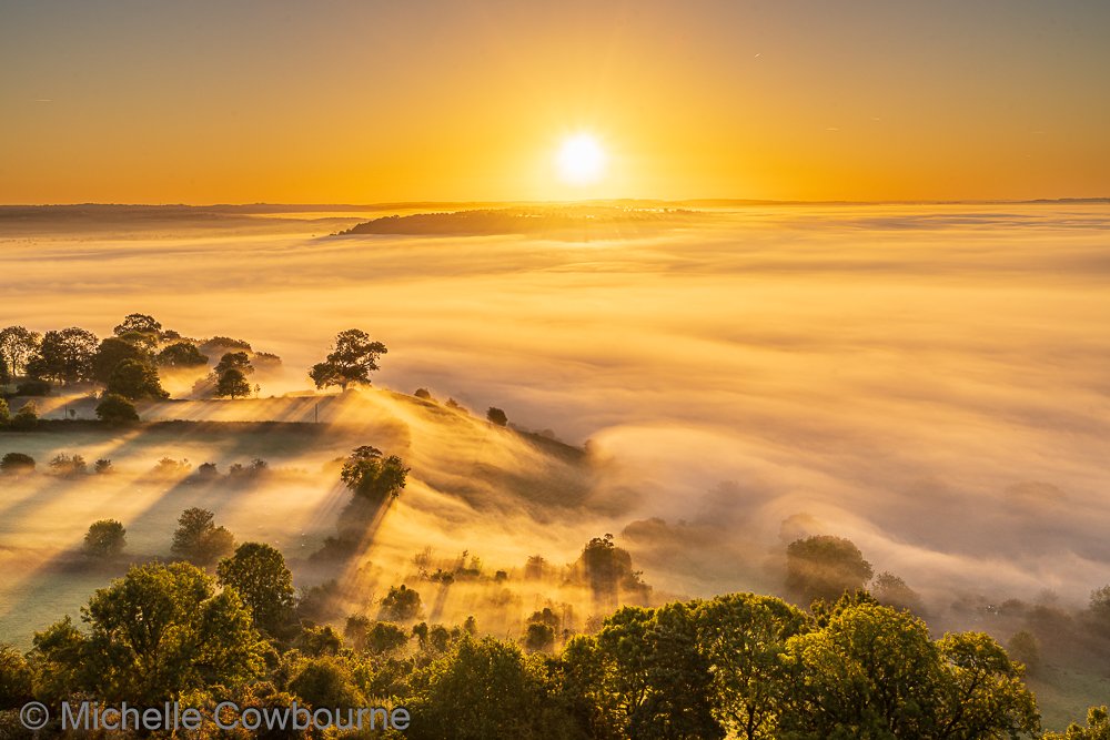 Michelle Cowbourne tweet media