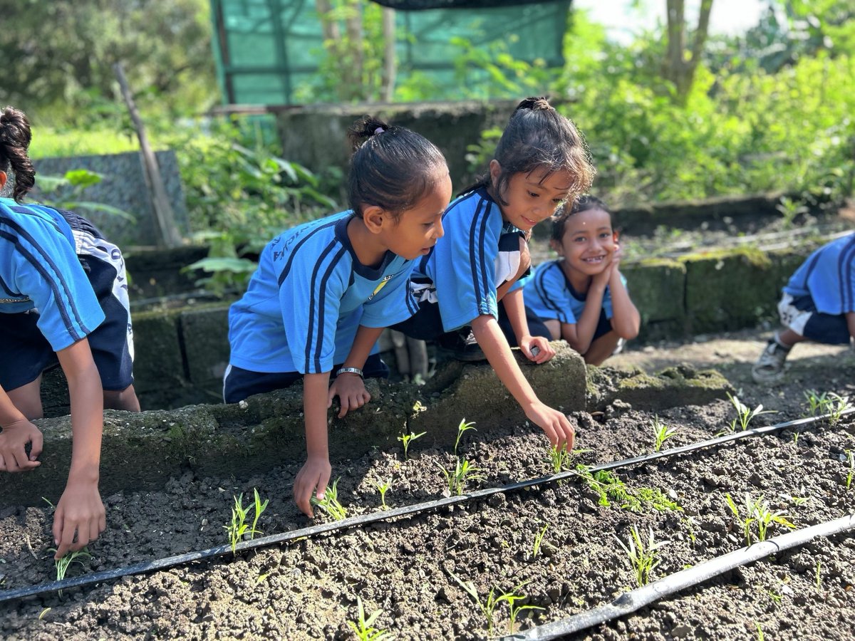 jica_direct_en's tweet image. 🌱 Promoting nutrition through food cycles 🌱 #JICAVolunteer Yuka Shuto is transforming a neglected school garden in #TimorLeste into a space for learning, growing, and nourishing.
📖 Read the full story: jica.go.jp/english/overse…
#Nutrition #FoodEducation