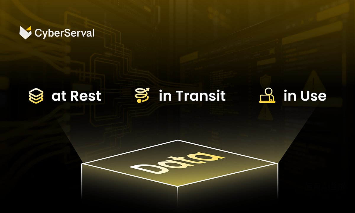 CyberServal's tweet image. Data exists in 3 states:
📂 At Rest
🌐 In Transit
⚡ In Use
Each comes with unique risks. #CyberServal DDR protects them all with Next-Gen #DLP:  
✔️ Asset discovery &amp;amp; shadow asset detection  
✔️ Egress monitoring &amp;amp; full data flow tracing  
✔️ Real-time user behavior controls
