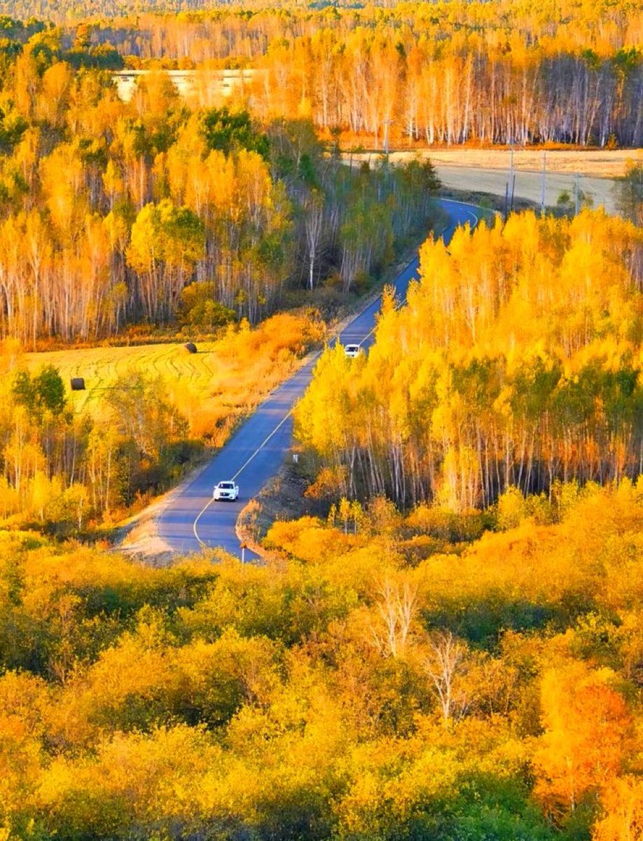 rasoolbux tweet media