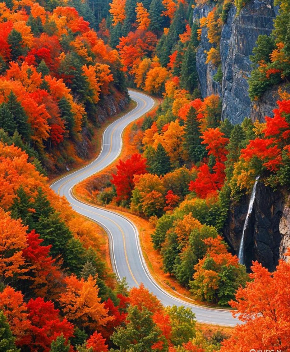 rasoolbux tweet media