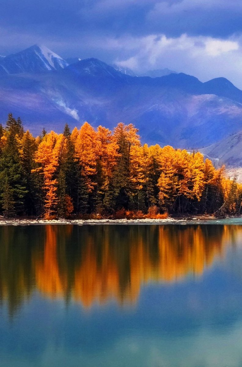 rasoolbux tweet media