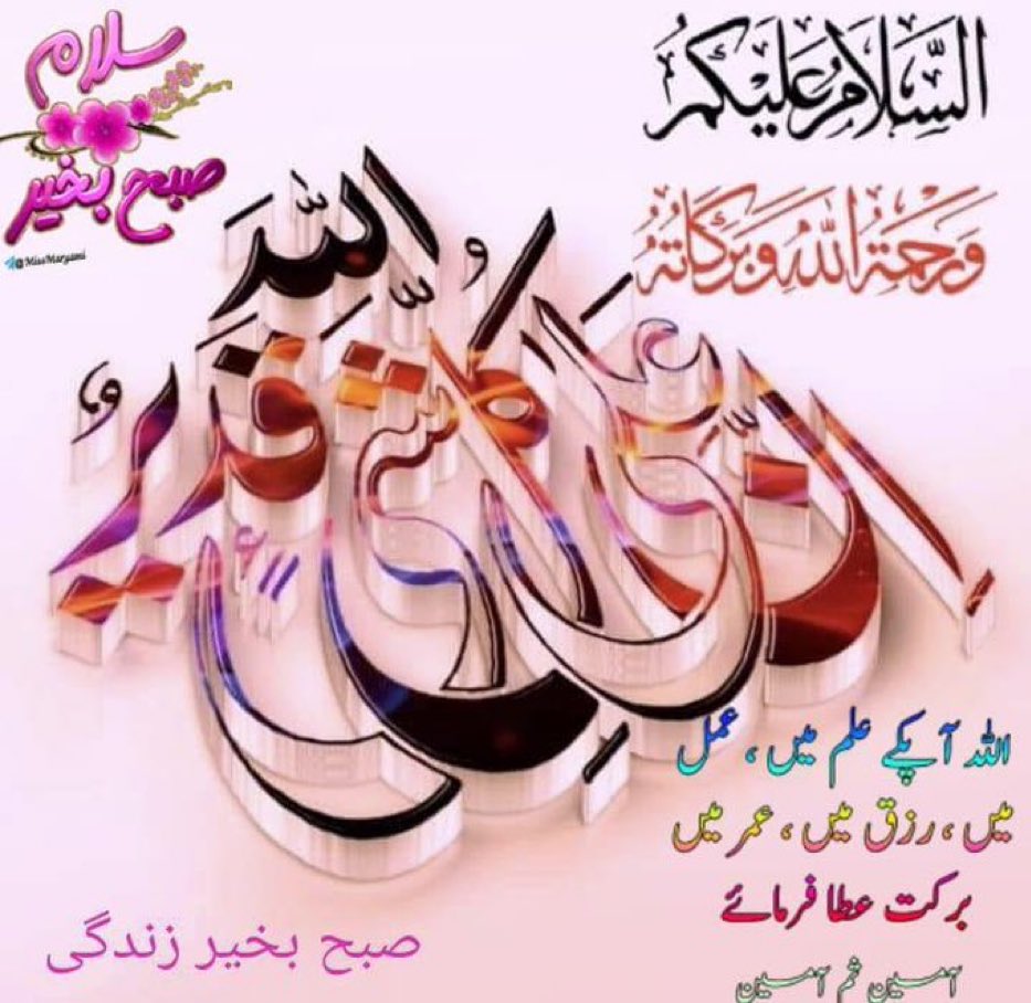 rasoolbux tweet media