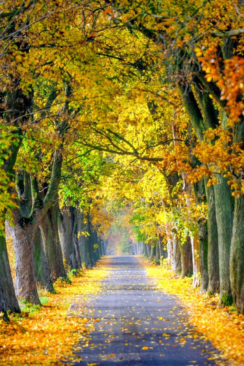 rasoolbux tweet media