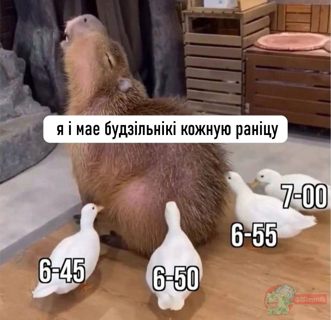 MEM3NSK's tweet photo. панядзелак, шо вы там? https://t.co/Ncgyfo3vDd