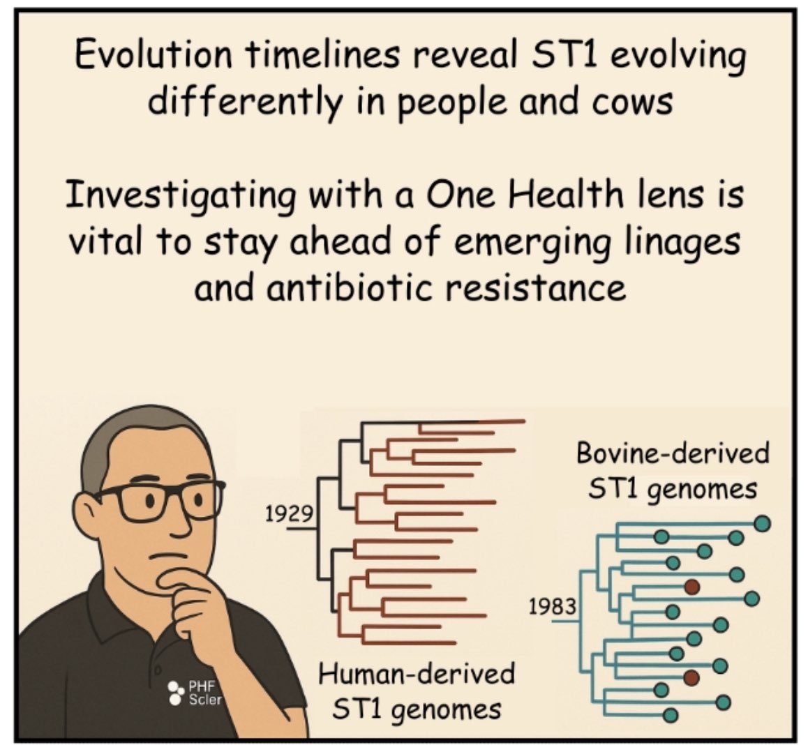 Rhys White 🧬 tweet media