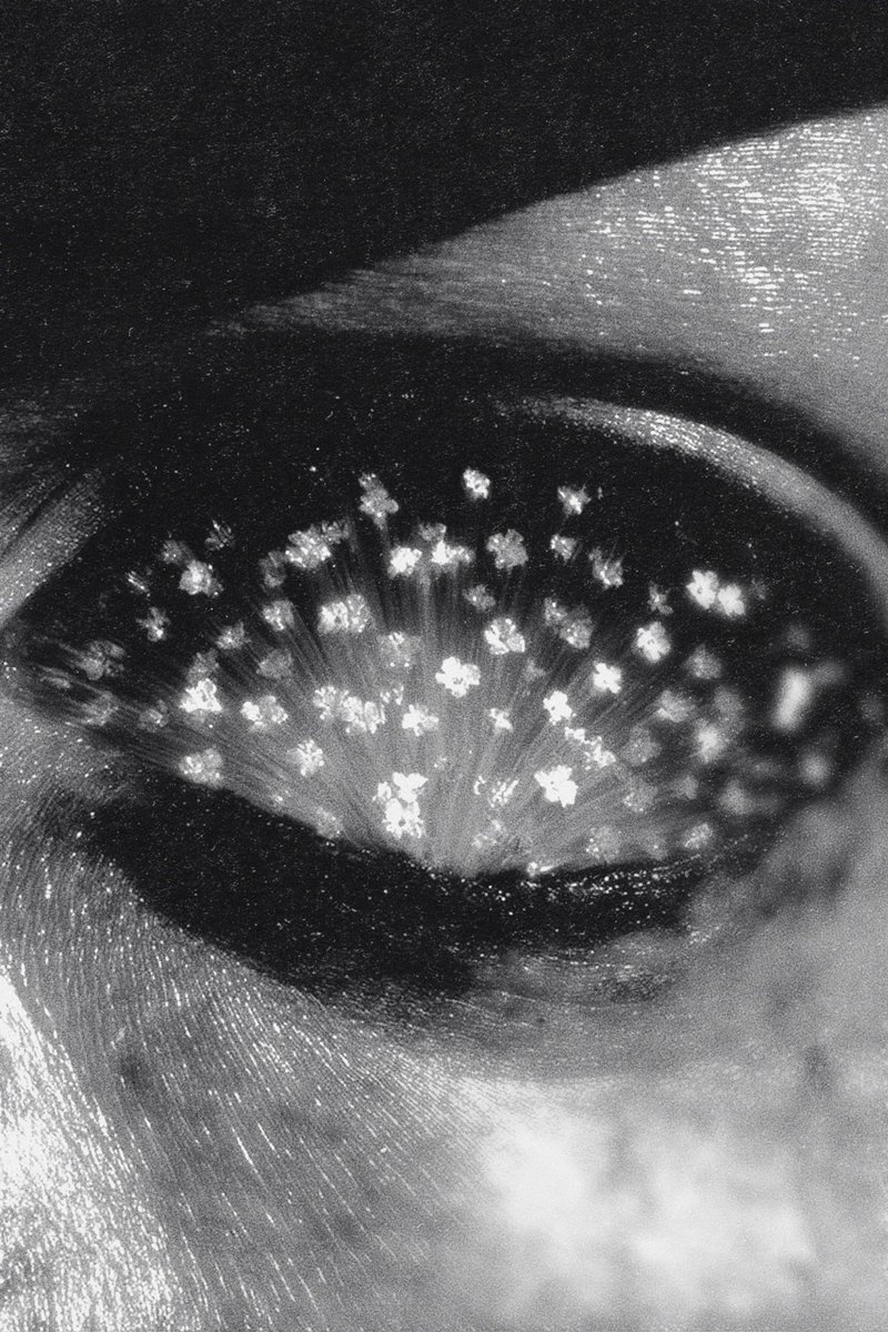 good morning and happy monday

• tears into flowers • • rays of blindness •

an allegory of a blind eye blooming from its open wound.
a manifesto of stepping into light, leaving the darkness aside. 

join me into this parallel world of light and shadow play

both arts minted