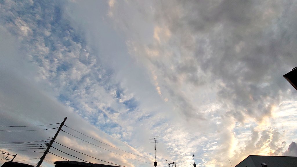 _dee_hii's tweet image. 今日も一日無事におわりました

樹木希林さんのいう

おごらず

 人と比べず

 面白がって

 平気に生きればいい

これなんだよな

みんなおつかれ

#みんなの風景写真 #空がある風景  #you39RT  #イマソラ