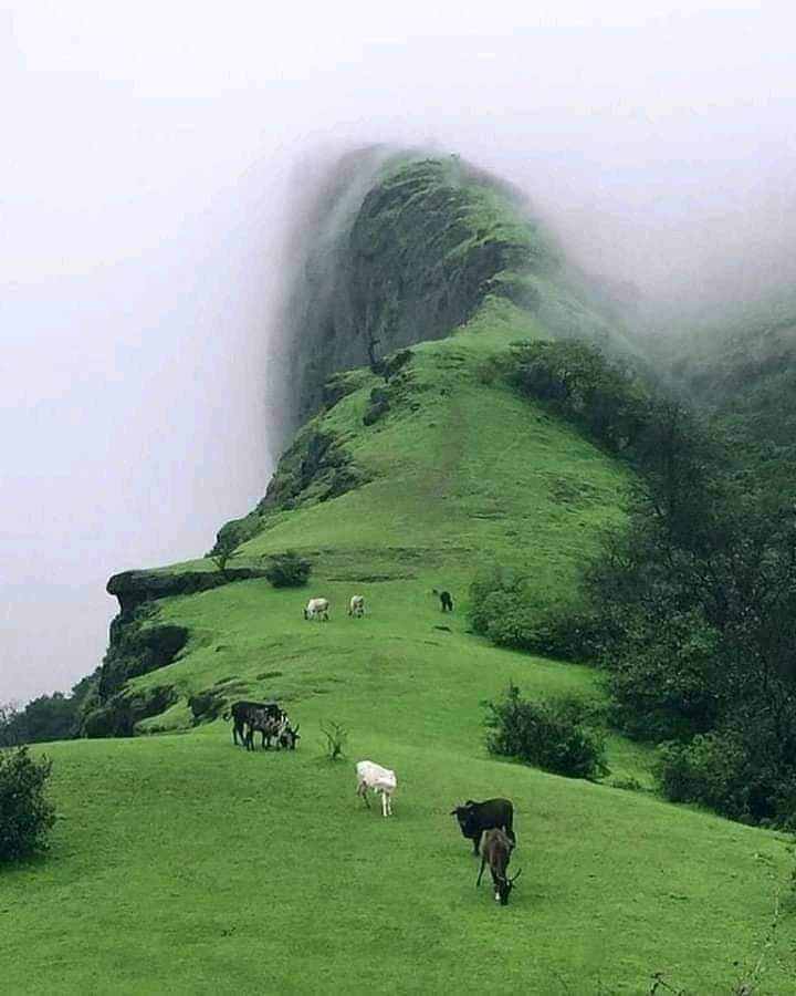 Kimuzi_'s tweet photo. Kuna place pale Elgeyo marakwet inakaa moto ajab. Looks like a scene straight from a movie. Land ya Bilbo Baggins.

Governor @rotichwisley you need to invest heavily on tourism. Be like Maldives. https://t.co/WOG1flqnR1
