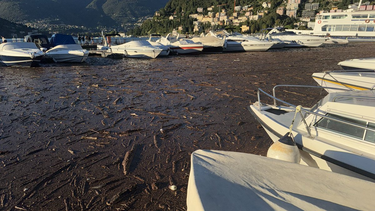 Stefanopech's tweet photo. @matteosalvinimi ci aiuti lei visto che oggi sarà a Como e vedrà coi suoi occhi il disastro. Lavorando con le barche, è un grosso problema per noi e anche per il decoro cittadino https://t.co/HdyUDGCPQx