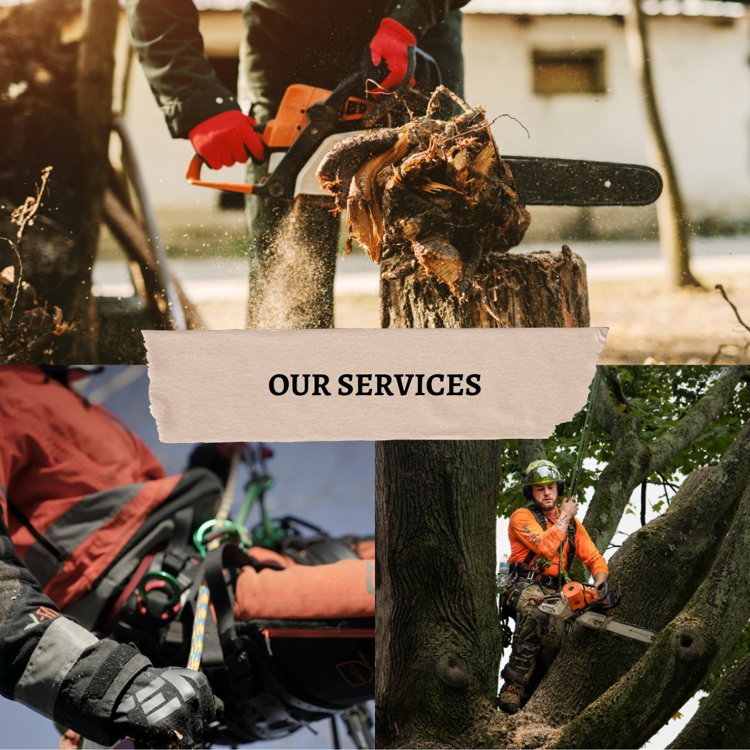 TrufastTree's tweet image. At Trufast Tree Service, we offer a comprehensive range of tree care services including pruning, removal, stump grinding, emergency response, and arborist consultations.

Please contact us at 417-413-4729. Our team is ready to assist you. 😀