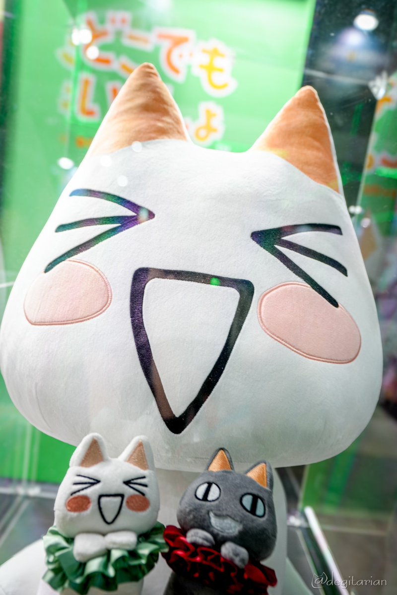 haworthia (@haworthia_cat) / X