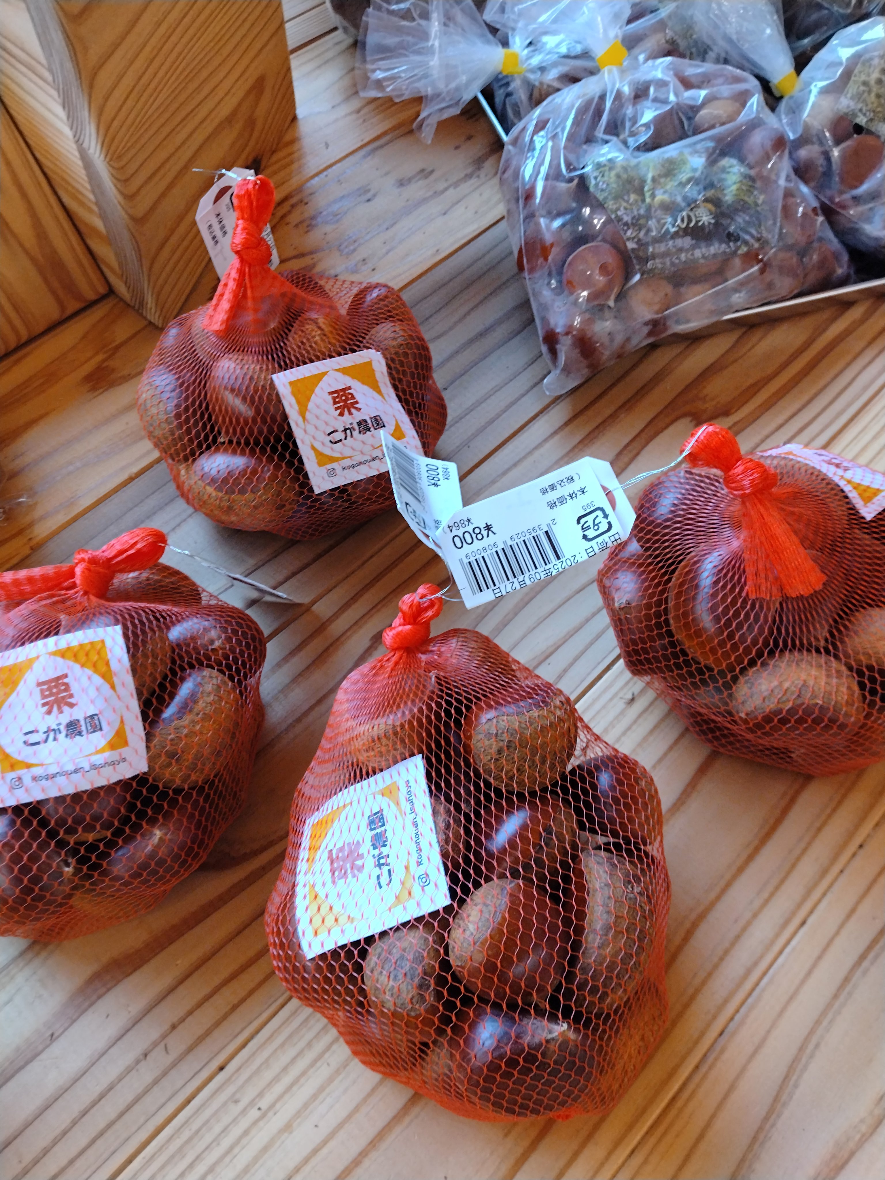 諫早様① 中オカ中クチ中セキ on X: 