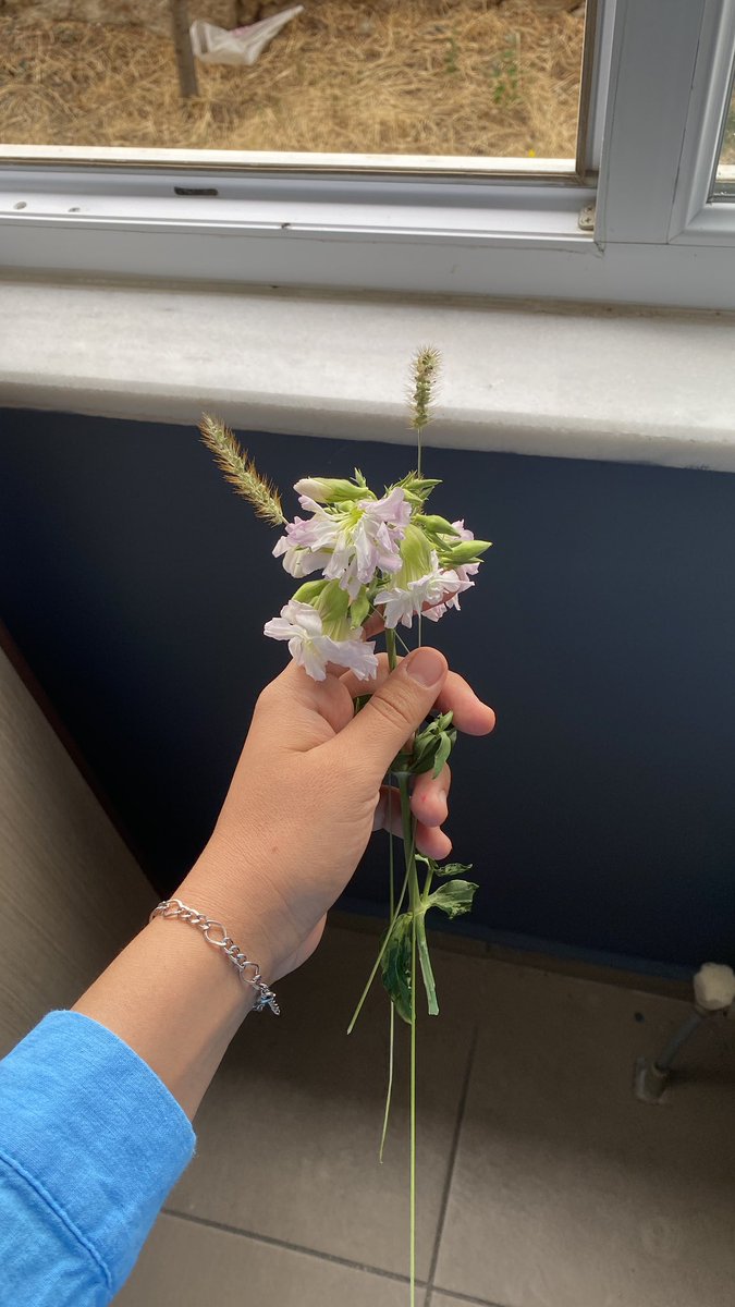 Ekim Çiçeklerim biraz erken geldi 🫠💖