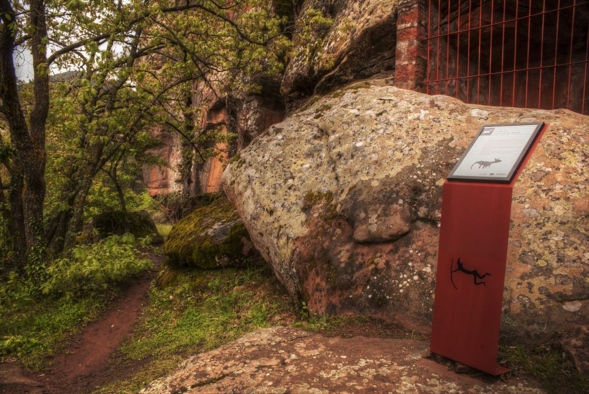 Muy cerca de Albarracín, los Pinares de Rodeno mezclan pinos, enebros y lagunas. 🚶🚴 Ruta circular Tabernillas–Bezas: ideal para perderse en un bosque otoñal lleno de contrastes 🍂.

#Bosquesotoño #Aragón

<a href="/aetsa/">TurismoAlbarracin</a>