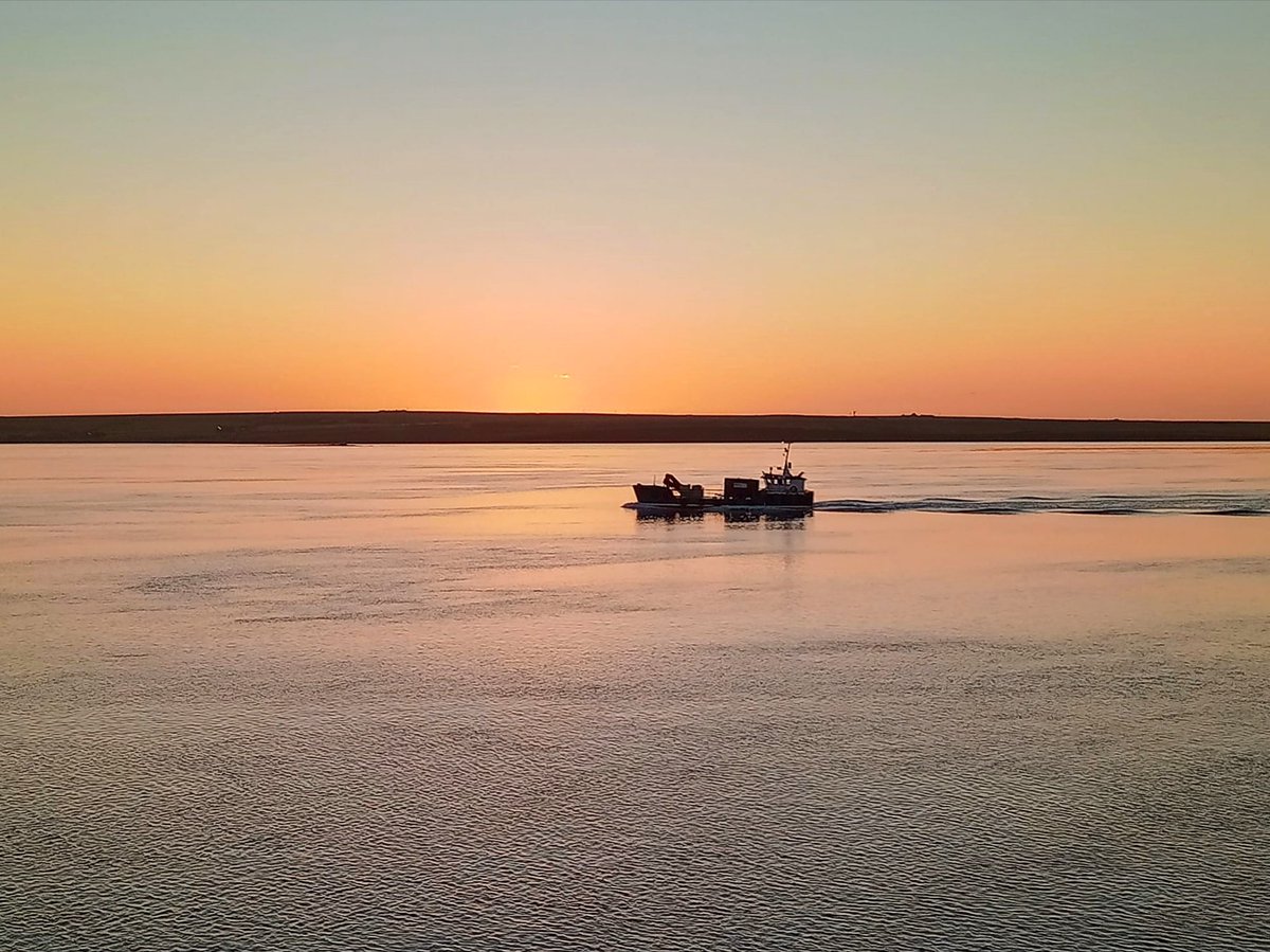 Orkney Library tweet media