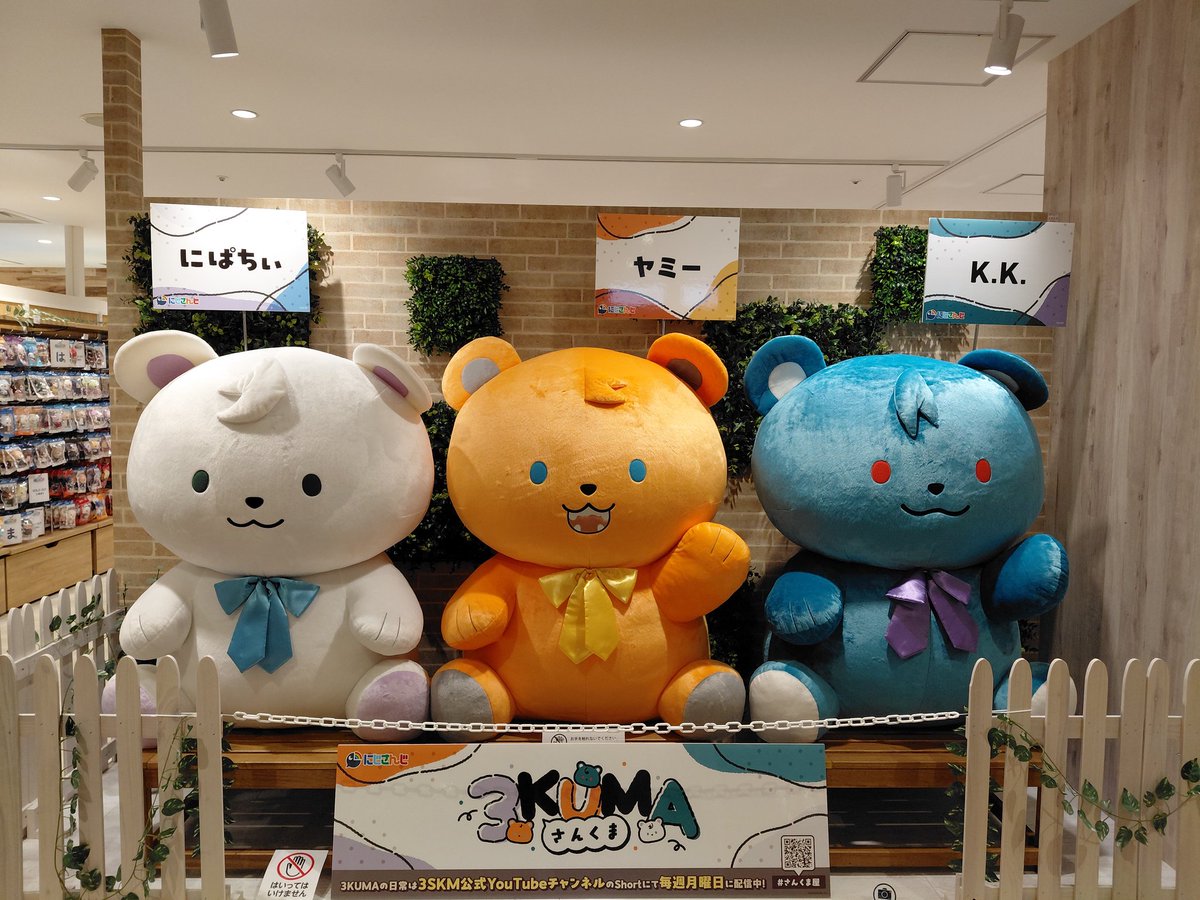 ai_tsk's tweet photo. さんくま
かわいかった https://t.co/4h6SBWk0qO