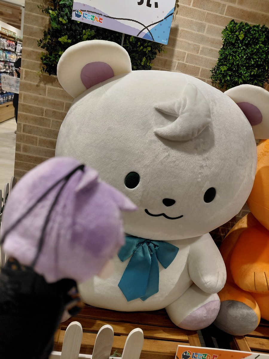 ai_tsk's tweet photo. さんくま
かわいかった https://t.co/4h6SBWk0qO