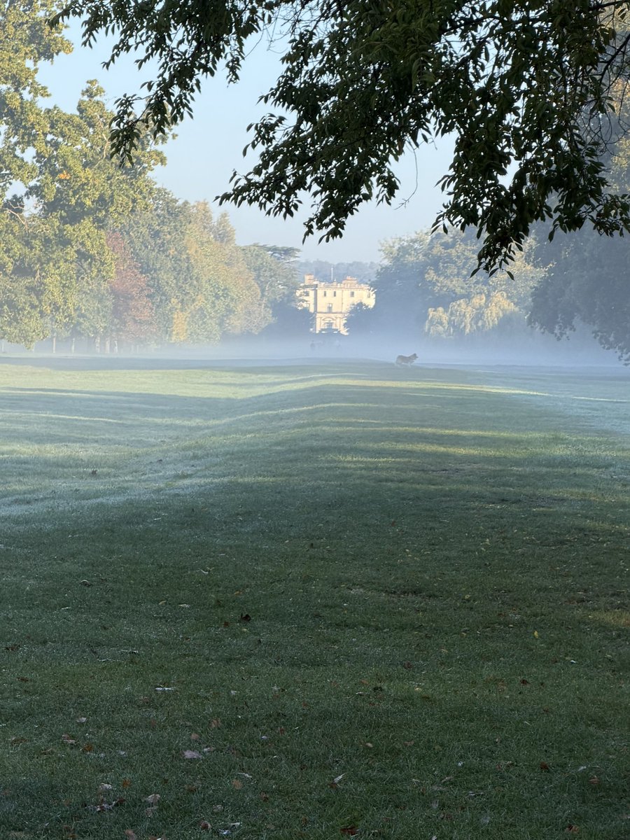 An autumn walk through Canons Park to celebrate Harvest with the First and Junior School at NLCS - always a joy and a privilege. Golden leaves, bright smiles, and grateful hearts for the season’s gifts. 🍂🌾 #Harvest #Community #NLCS