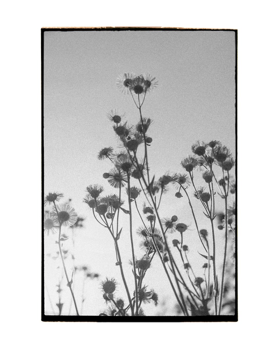 ゆた。 (@yu29_18_) on Twitter photo 