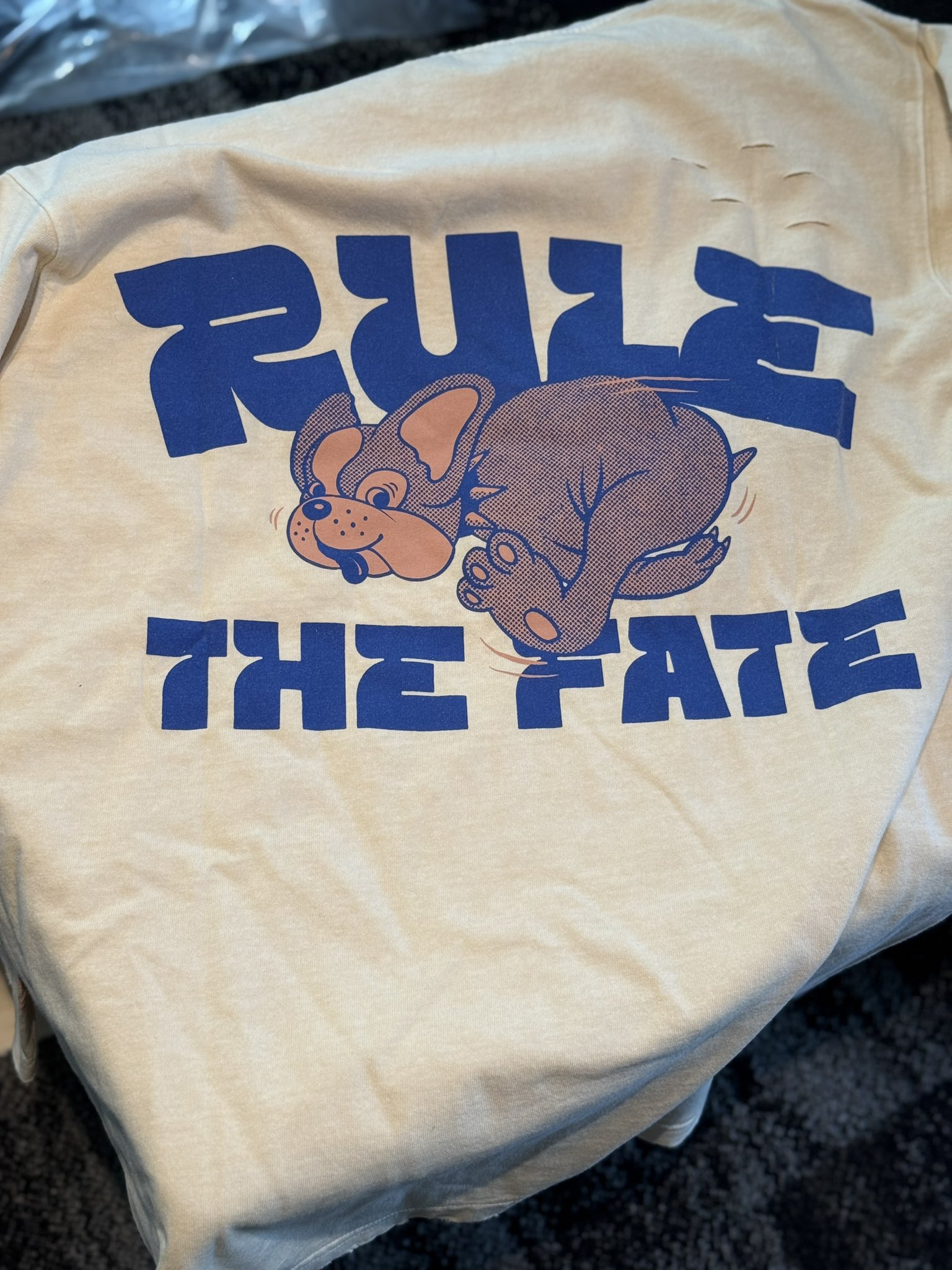RULE THE FATE Official (@rtf_rtf_h) / X