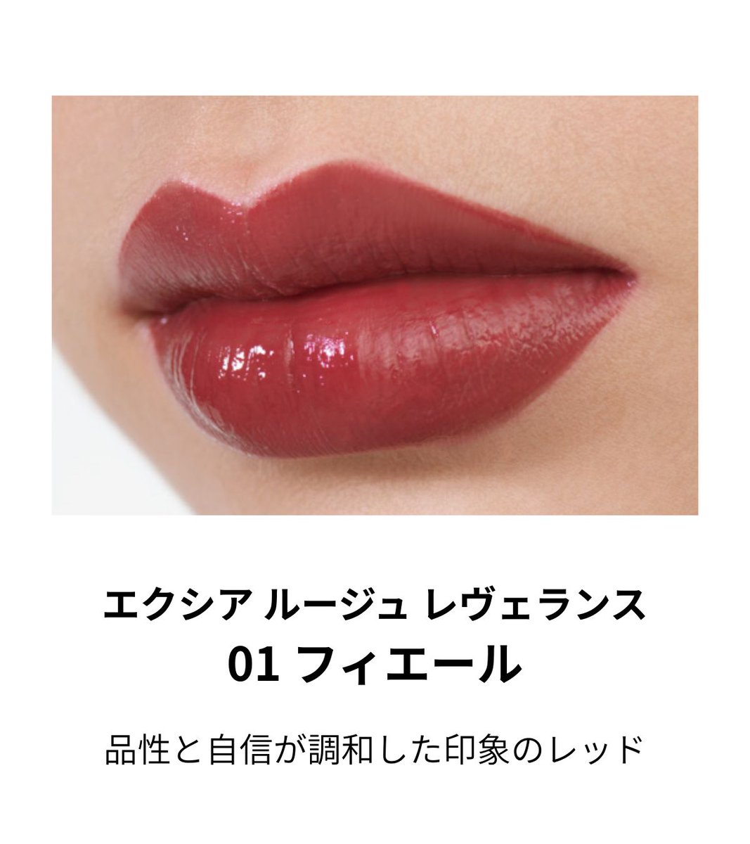 NEW】 唇にひときわ存在感。 望みどおりの美発色で、 誰もが美しく塗り