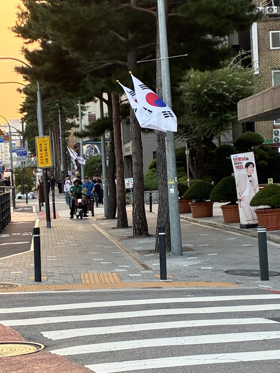 carcon999's tweet photo. やけに国旗掲げているの多いなぁと思ったら秋夕だからね https://t.co/wrRVT6QgHQ