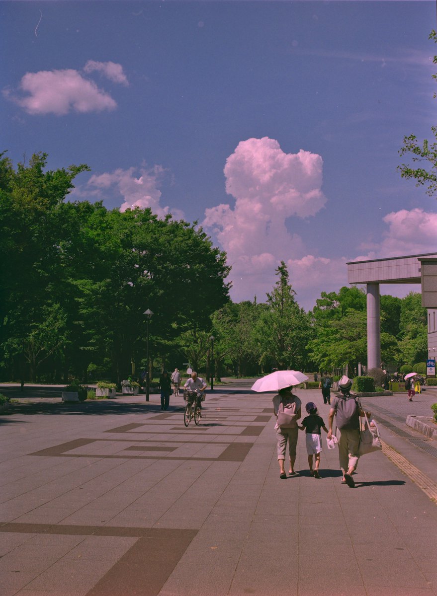 kimi_007's tweet photo. 夏の暑い日
今日は少し暑かったけど、だいぶ涼しくなってきましたね

📷PENTAX 645 / A645 75mm f2.8
🎞️Kodak Gold 200

#PENTAX
#フィルムカメラ https://t.co/PZFwbQevm9