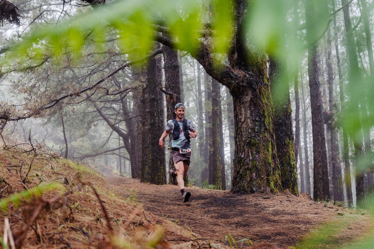 🖤 ¿Estás listo para tu mayor desafío?
La Transvulcania adidas Terrex te espera.
¡Inscríbete y corre hacia la cima!

@cablapalma | @sodepallapalma | @adidasterrex | @islascanariasoficial |@mperestelo | @sergio.rodriguez.lp | <a href="/nlaura/">Natasha P</a>
