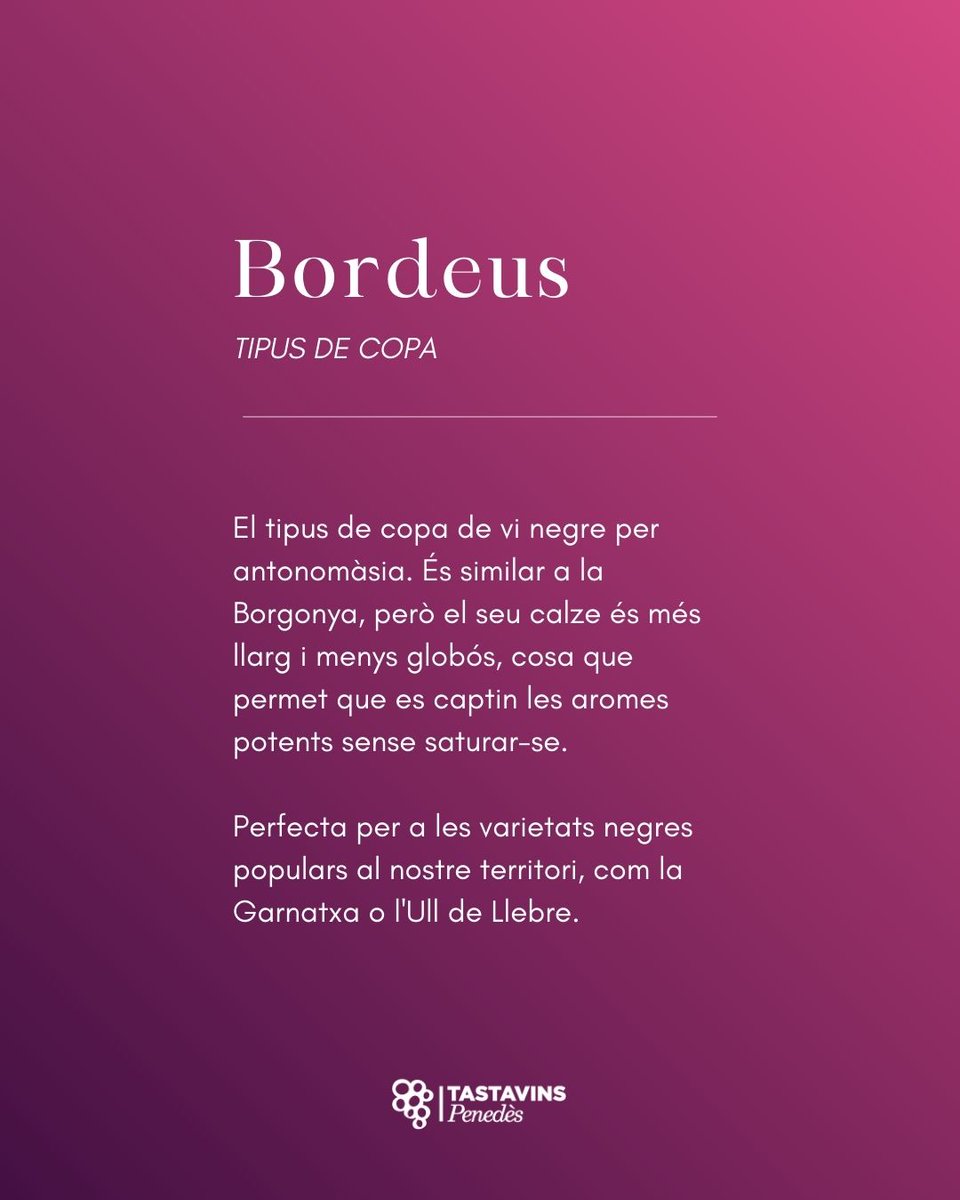 🍷 Tipus de copa · Bordeus

El tipus de copa de vi negre per antonomàsia. Similar a la Borgonya, el seu calze és més llarg i menys globós, per captar les aromes potents sense saturar-se.

Perfecta per a les varietats com la Garnatxa o l'Ull de Llebre.

#TastavinsPenedes