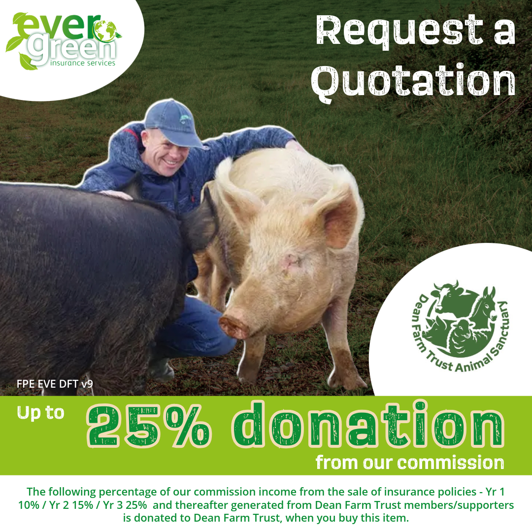 Care about farm animal welfare? 🐖 <a href="/DeanFarmTrust/">Dean Farm Trust 🤍</a> is changing lives – every policy makes a difference! #AnimalWelfare #FarmSanctuary #Compassion