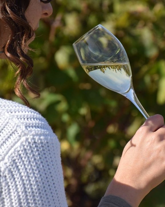 🥂 Al Penedès hi ha diversos tipus de vins escumosos!

😉 Una gran varietat d'interpretacions de les bombolles elaborats amb varietats autòctones i forànies. 🍇

😎👌 Gaudiu-los i conegueu les seves característiques!

#TastavinsPenedes