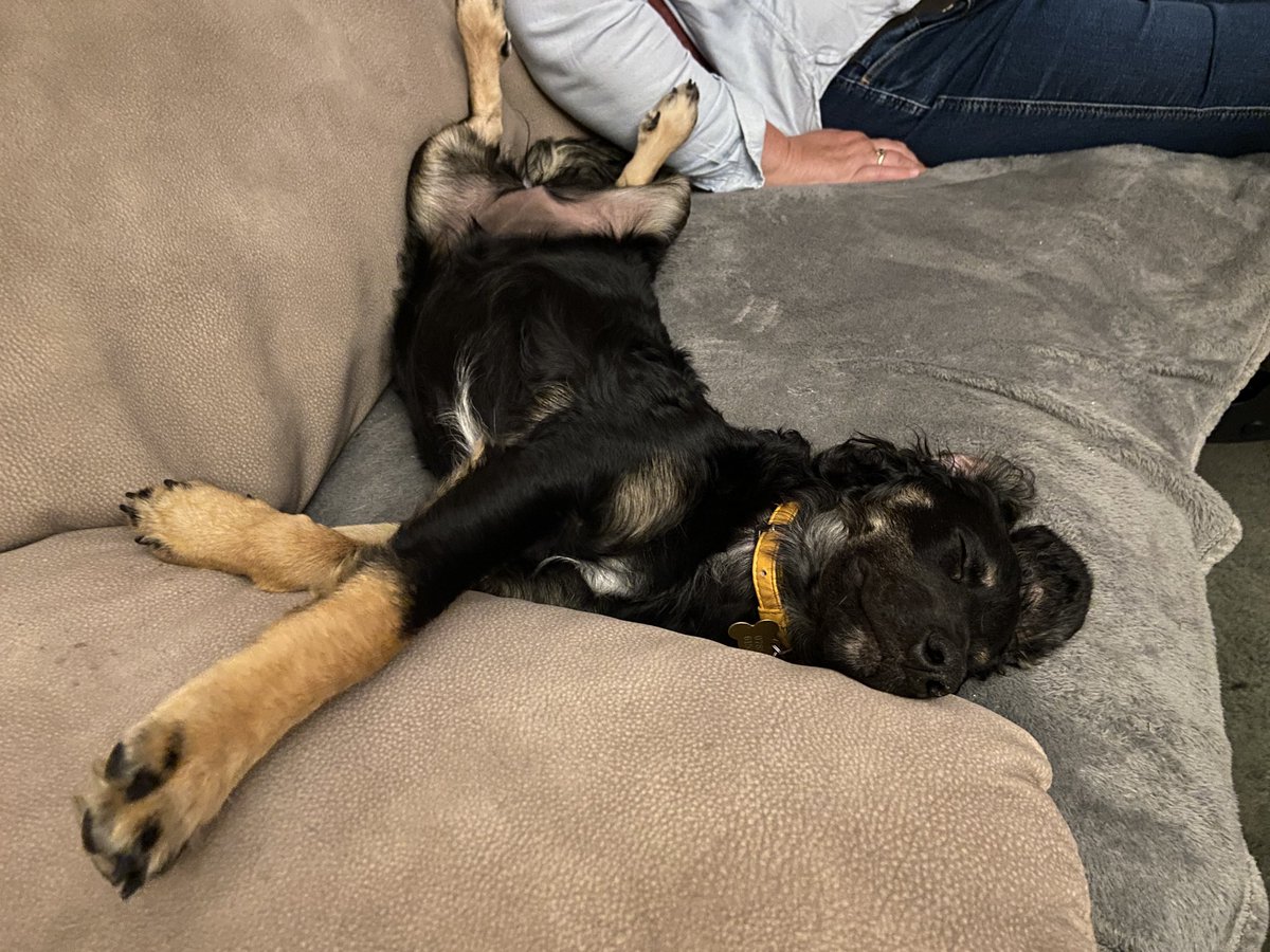 Kevin Wood tweet media