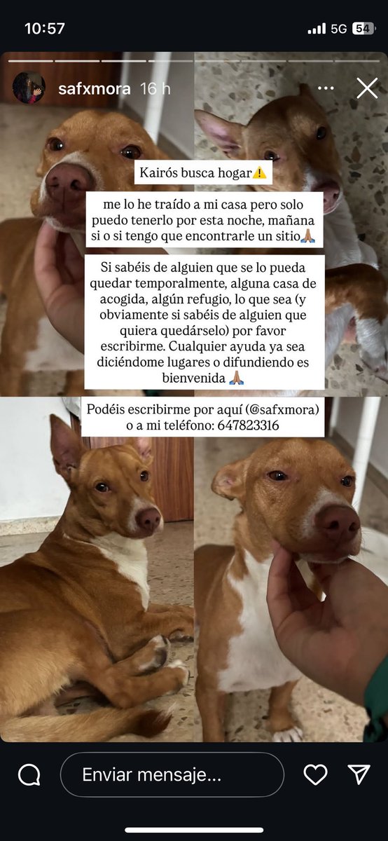 Chicos y chicas!!
Importante !!
Si podéis compartir, os lo agradezco!