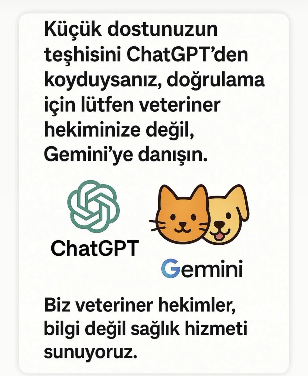 Tuğba (@vettugbaa) on Twitter photo 