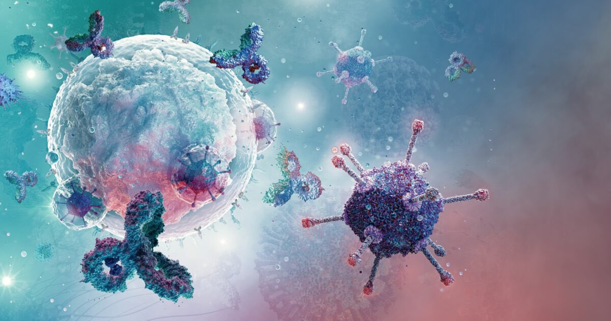 316Asset's tweet photo. At 316 Asset Management, we believe the next great frontier of human progress isn’t only in AI or energy, but in medicine. One of the most transformative fields today: immuno-oncology (I-O). A thread 🧵

#immunooncology https://t.co/a0J2vUEqIh