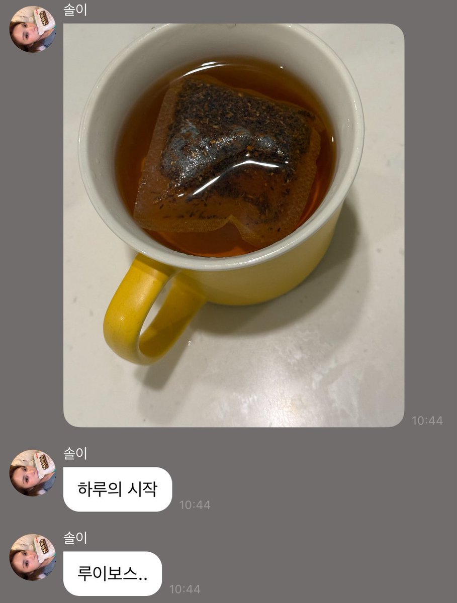 루틴경쟁 
심을자 출근인증 vs 배진솔 루이보스티인증