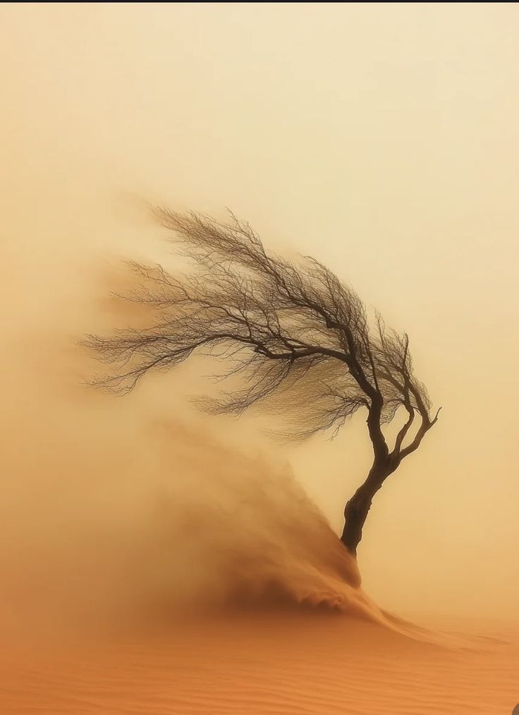 ˚ʚଓ𓂃∘•˚જ ˢᵘˢᶦ tweet media