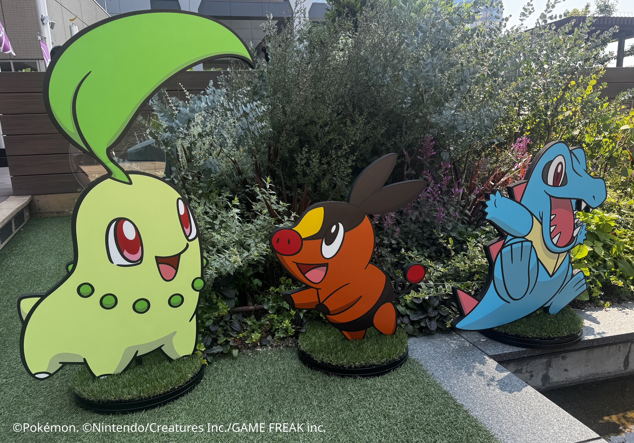 ポケモン - コタローページ 10口分 公式】ポケモン発見大作戦 ＠大阪 on X: 