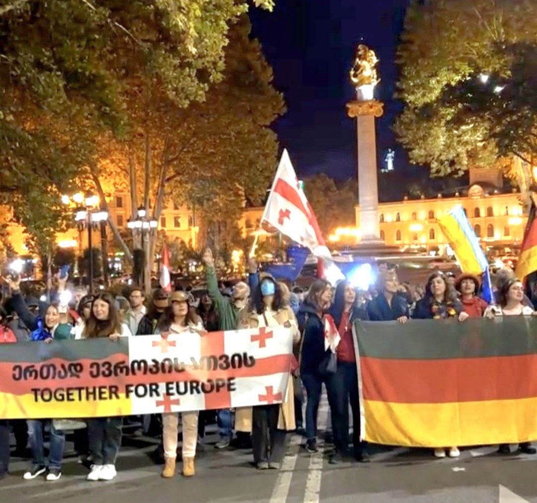 Big respect &amp; thanks ❤️ to all who came out last night in #Tbilisi to show gratitude to 🇩🇪 &amp; solidarity with me. 🙏🏼 for demanding end of attacks on foreign diplomats &amp; recognition of our contribution to 🇬🇪 democracy &amp; European path. 🇬🇪 has EU calling. 
🇩🇪 &amp; 🇪🇺 are here for that.