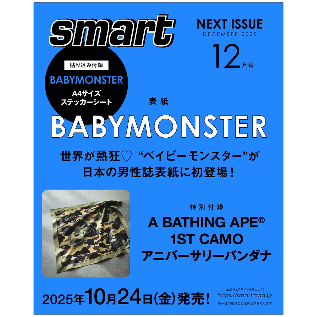 非売品 BAPEMANIA エイプ カタログ #2