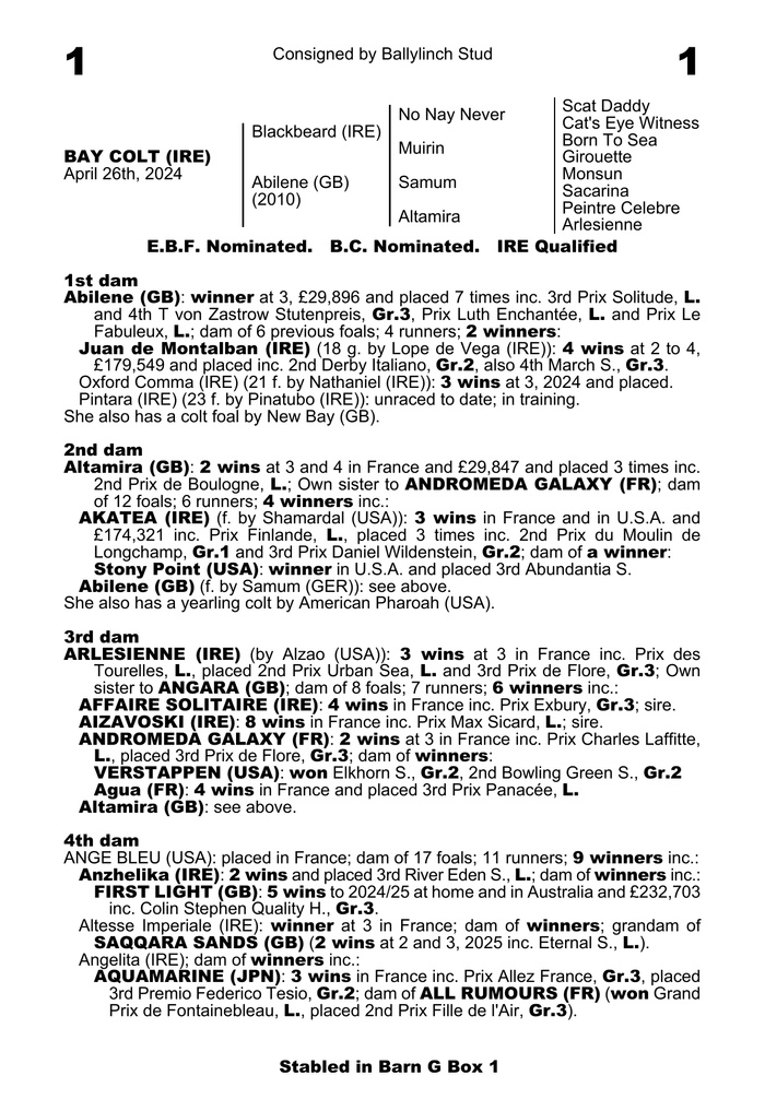 €105,000 BLACKBEARD colt opens <a href="/Goffs1866/">Goffs</a> Orby! 🌟

The first lot of the sale was a six figure one, as the <a href="/BallylinchStud/">BallylinchStud</a>-consigned son of the Cartier Champion 2YO sold to <a href="/MccalmontJamie/">Jamie McCalmont Bloodstock</a>!

#CoolmoreSires #SuccessAtTheSales #HomeOfChampions