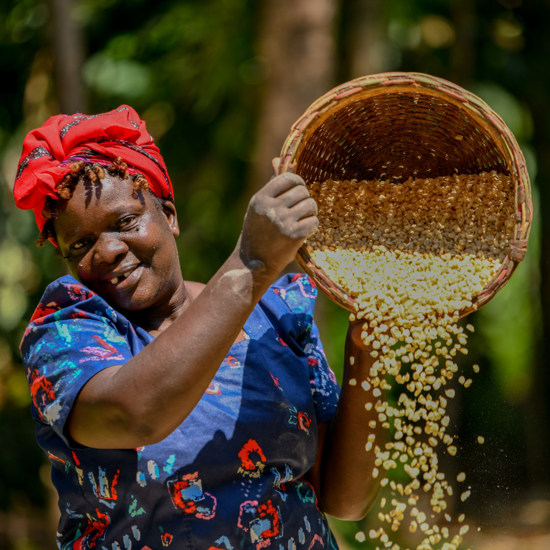 #IDAFLW | #InternationalDayofAwarenessofFoodLossandWaste
Meet Scholastica Nanjala from Bumula, Bungoma. Once using traditional methods, she now harvests 20 bags of maize from 1 acre, up from just 8, thanks to training by <a href="/SolidaridadECA/">Solidaridad East and Central Africa</a> via the CSV project. #PostHarvestHandling
