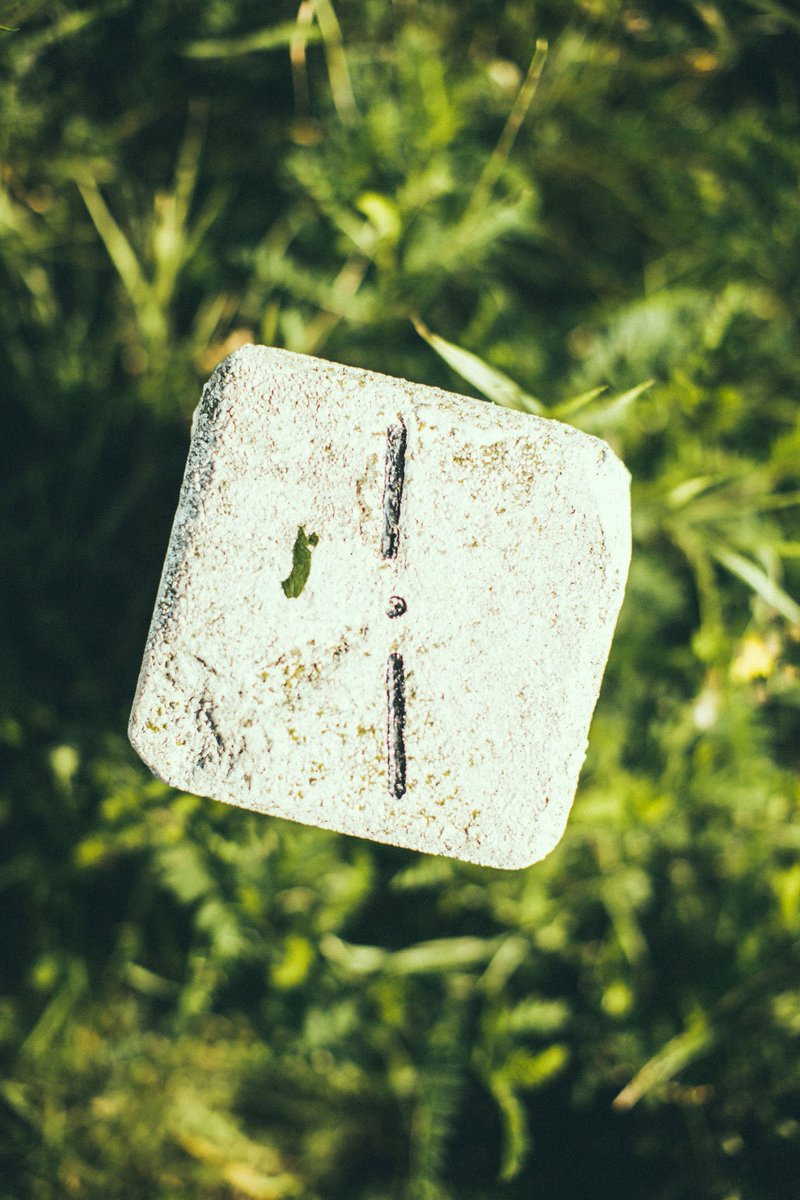 Pillandia's tweet image. Colline e vigneti su entrambi i lati del confine internazionale tra Austria (Comune di Ehrenhausen an der Weinstraße) 🇦🇹 e Slovenia (Comune di Kungota) 🇸🇮. 
📷: 2020. 
pillandia.blogspot.com/p/avaleht-iniz… 

#Styria #Steiermark #Border #Grenze #Meja