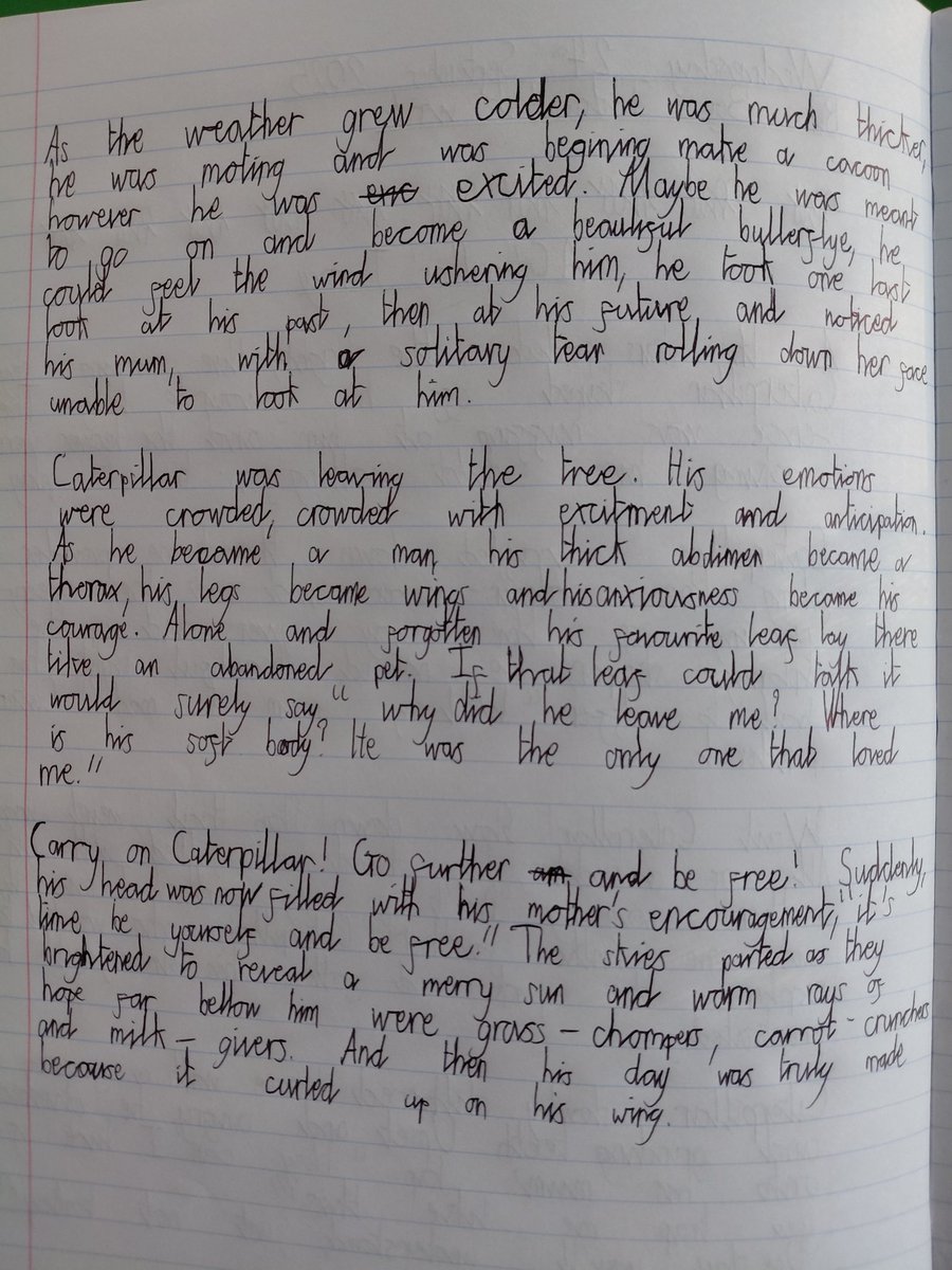 Hugely impressed with the conclusion of our first unit, #bikeboy from the <a href="/janeconsidine/">Jane Considine</a> unit plan. The children adapted the 'coming of age' story to describe the evolution of a young caterpillar, eager to mature into a butterfly. Love how the journey supported their own plans ❤️