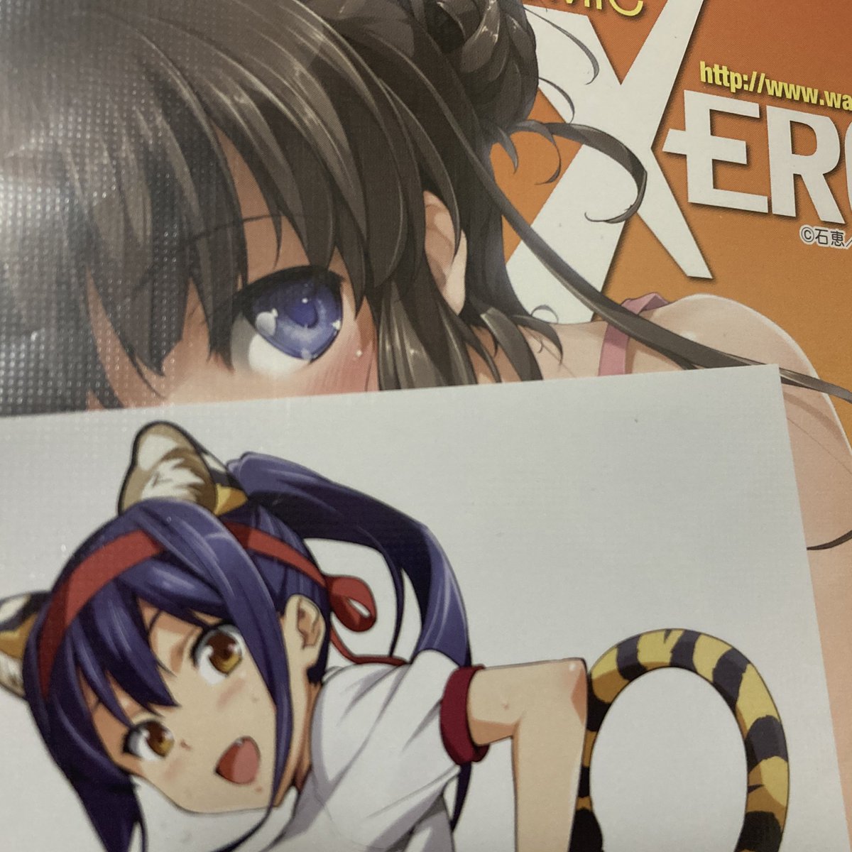 きつね 🦊 on X: 