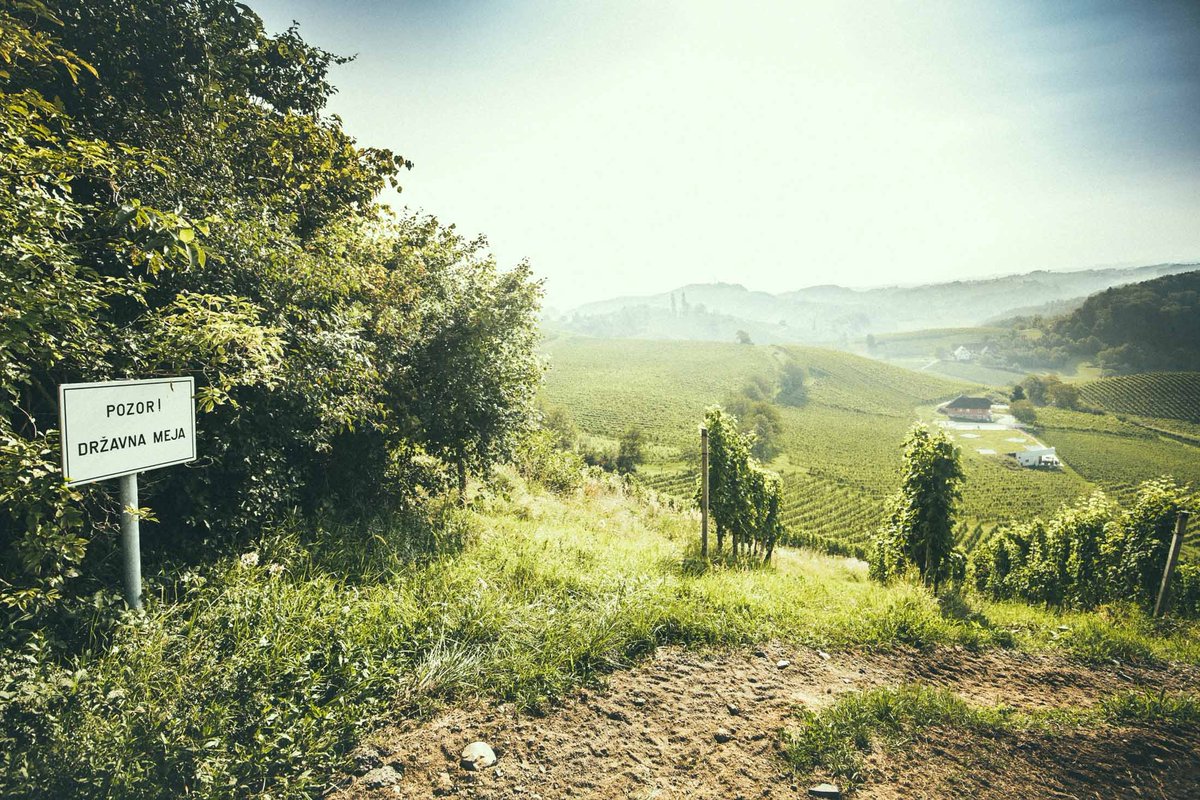 Pillandia's tweet image. Colline e vigneti su entrambi i lati del confine internazionale tra Austria (Comune di Ehrenhausen an der Weinstraße) 🇦🇹 e Slovenia (Comune di Kungota) 🇸🇮. 
📷: 2020. 
pillandia.blogspot.com/p/avaleht-iniz… 

#Styria #Steiermark #Border #Grenze #Meja