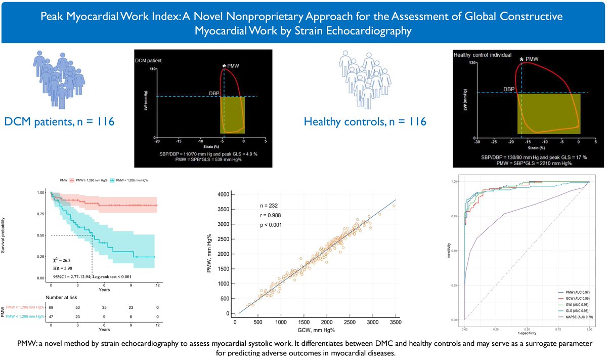 echobasics tweet media