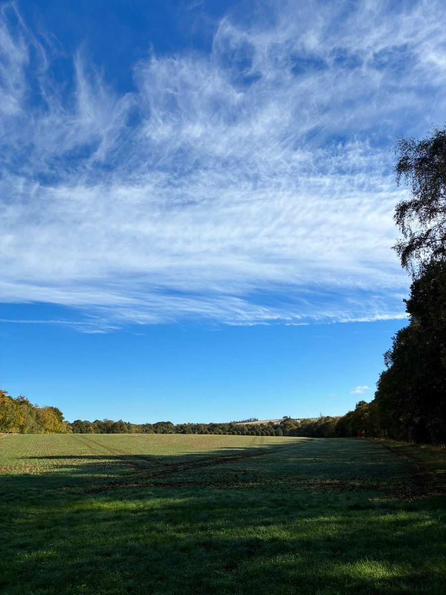 Alan Laidlaw tweet media